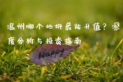 温州哪个地块最能升值？深度分析与投资指南_https://wap.qdlswl.com_理财投资_第1张