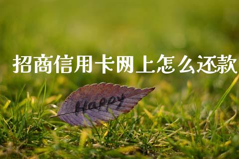 招商信用卡网上怎么还款_https://wap.qdlswl.com_财经资讯_第1张