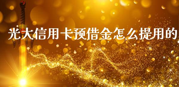 光大信用卡预借金怎么提用的_https://wap.qdlswl.com_证券新闻_第1张