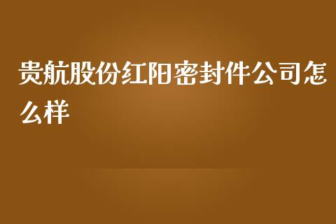 贵航股份红阳密封件公司怎么样_https://wap.qdlswl.com_全球经济_第1张