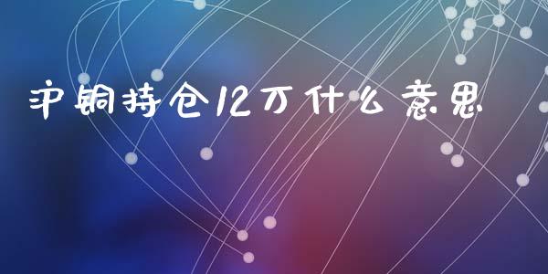 沪铜持仓12万什么意思_https://wap.qdlswl.com_全球经济_第1张