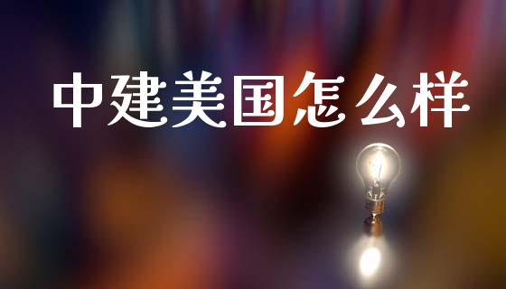 中建美国怎么样_https://wap.qdlswl.com_财经资讯_第1张