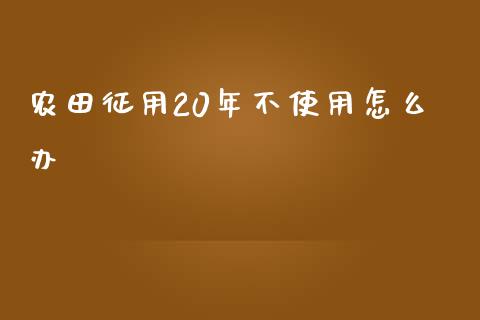 农田征用20年不使用怎么办_https://wap.qdlswl.com_证券新闻_第1张