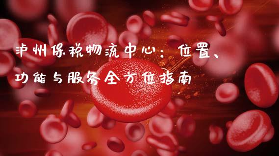 泸州保税物流中心：位置、功能与服务全方位指南_https://wap.qdlswl.com_财经资讯_第1张