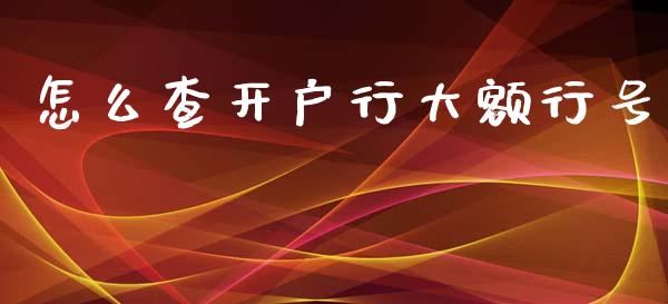 怎么查开户行大额行号_https://wap.qdlswl.com_全球经济_第1张