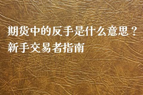 期货中的反手是什么意思？新手交易者指南_https://wap.qdlswl.com_全球经济_第1张
