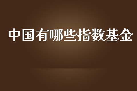 中国有哪些指数基金_https://wap.qdlswl.com_全球经济_第1张