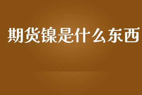 期货镍是什么东西_https://wap.qdlswl.com_全球经济_第1张