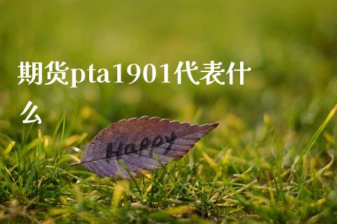 期货pta1901代表什么_https://wap.qdlswl.com_全球经济_第1张