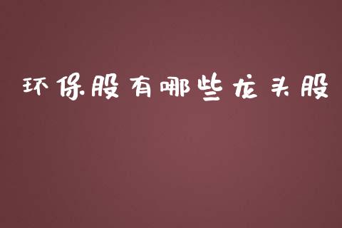 环保股有哪些龙头股_https://wap.qdlswl.com_理财投资_第1张