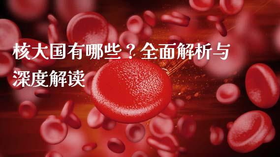 核大国有哪些？全面解析与深度解读_https://wap.qdlswl.com_财经资讯_第1张