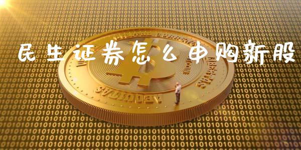 民生证券怎么申购新股_https://wap.qdlswl.com_财经资讯_第1张