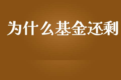 为什么基金还剩_https://wap.qdlswl.com_财经资讯_第1张