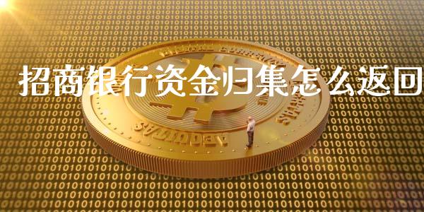 招商银行资金归集怎么返回_https://wap.qdlswl.com_理财投资_第1张