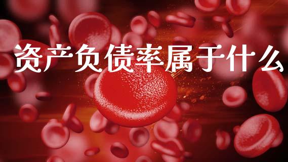 资产负债率属于什么_https://wap.qdlswl.com_理财投资_第1张