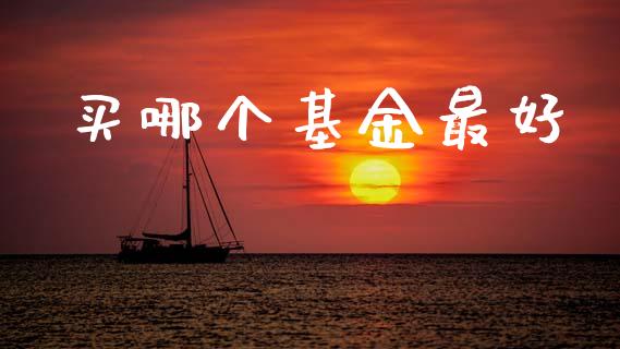 买哪个基金最好_https://wap.qdlswl.com_证券新闻_第1张
