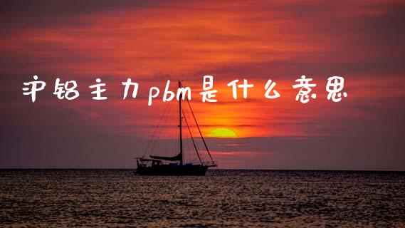 沪铝主力pbm是什么意思_https://wap.qdlswl.com_理财投资_第1张