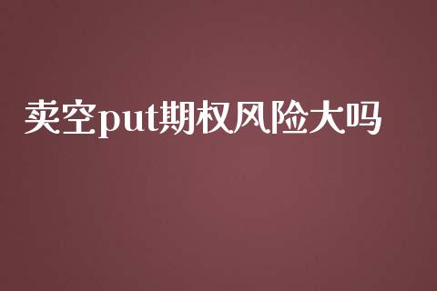 卖空put期权风险大吗_https://wap.qdlswl.com_全球经济_第1张