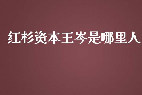 红杉资本王岑是哪里人_https://wap.qdlswl.com_全球经济_第1张