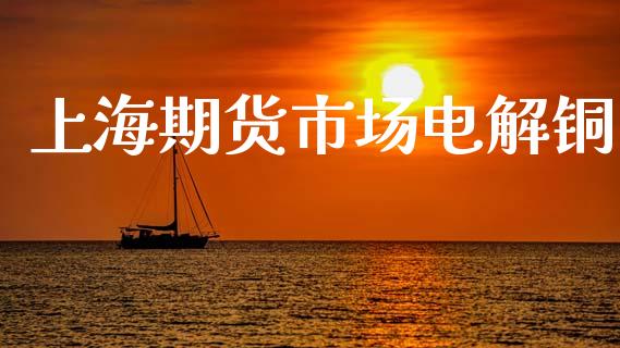 上海期货市场电解铜_https://wap.qdlswl.com_全球经济_第1张