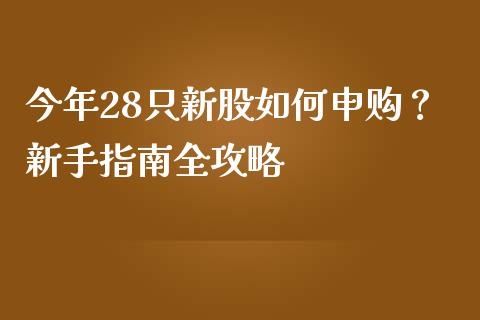 今年28只新股如何申购？新手指南全攻略_https://wap.qdlswl.com_理财投资_第1张