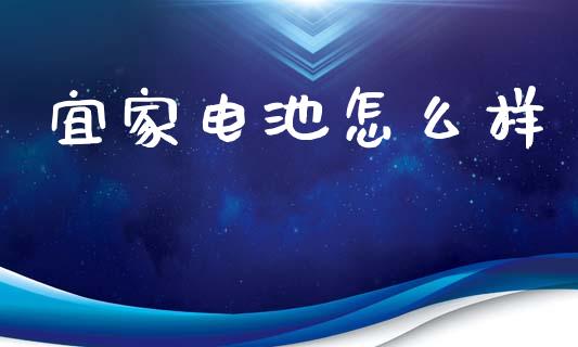 宜家电池怎么样_https://wap.qdlswl.com_证券新闻_第1张