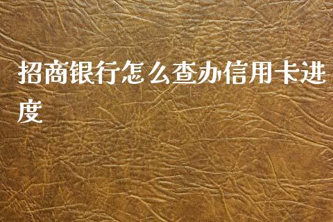 招商银行怎么查办信用卡进度_https://wap.qdlswl.com_证券新闻_第1张