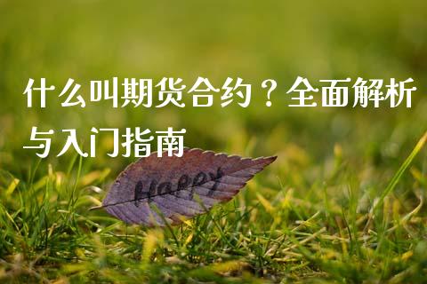 什么叫期货合约？全面解析与入门指南_https://wap.qdlswl.com_理财投资_第1张