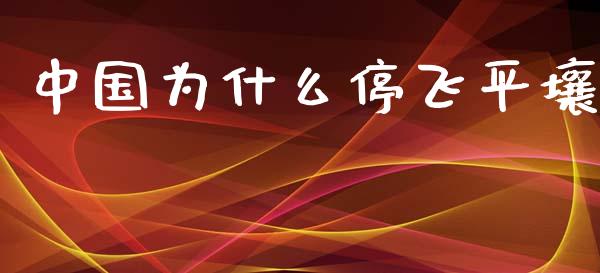 中国为什么停飞平壤_https://wap.qdlswl.com_理财投资_第1张