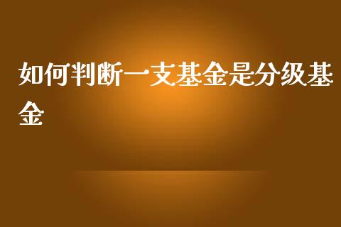 如何判断一支基金是分级基金_https://wap.qdlswl.com_财经资讯_第1张