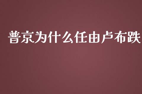 普京为什么任由卢布跌_https://wap.qdlswl.com_全球经济_第1张