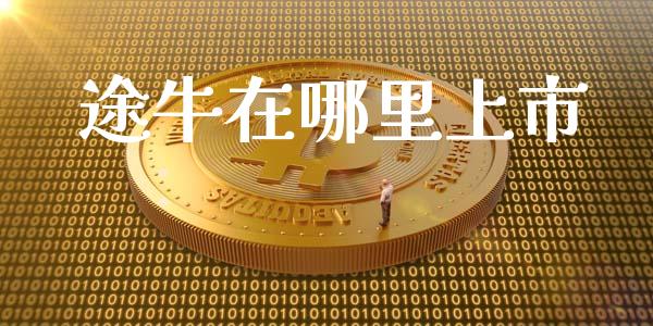 途牛在哪里上市_https://wap.qdlswl.com_证券新闻_第1张