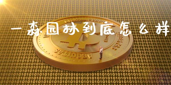 一森园林到底怎么样_https://wap.qdlswl.com_理财投资_第1张