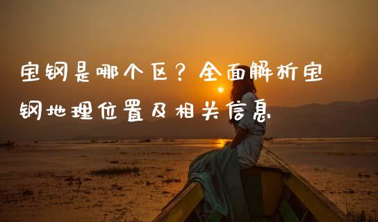 宝钢是哪个区？全面解析宝钢地理位置及相关信息_https://wap.qdlswl.com_全球经济_第1张