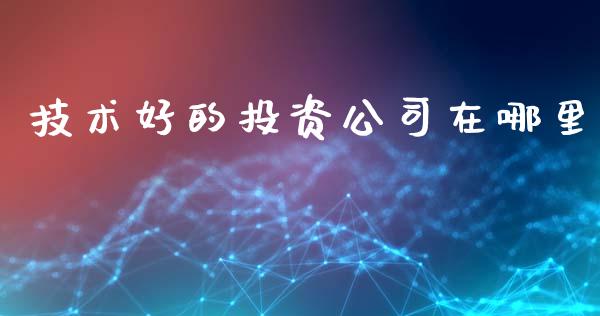 技术好的投资公司在哪里_https://wap.qdlswl.com_理财投资_第1张