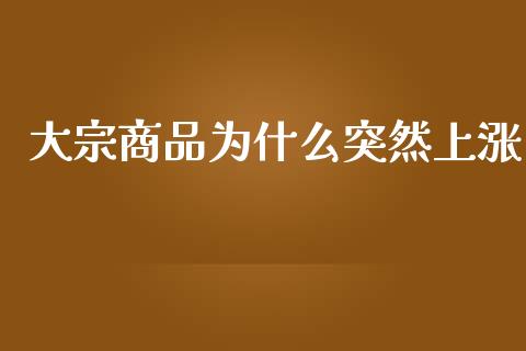 大宗商品为什么突然上涨_https://wap.qdlswl.com_财经资讯_第1张