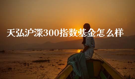 天弘沪深300指数基金怎么样_https://wap.qdlswl.com_财经资讯_第1张