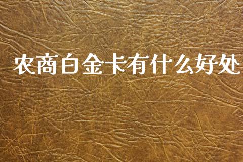 农商白金卡有什么好处_https://wap.qdlswl.com_理财投资_第1张