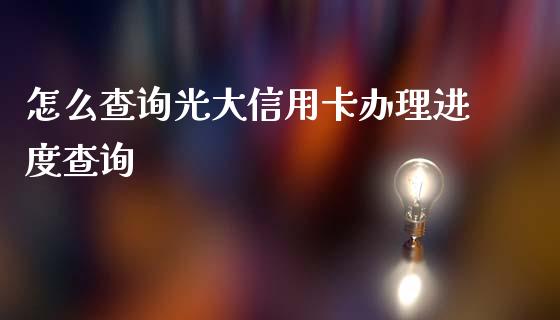 怎么查询光大信用卡办理进度查询_https://wap.qdlswl.com_理财投资_第1张