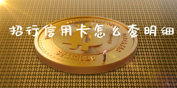 招行信用卡怎么查明细_https://wap.qdlswl.com_财经资讯_第1张