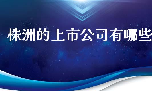 株洲的上市公司有哪些_https://wap.qdlswl.com_理财投资_第1张