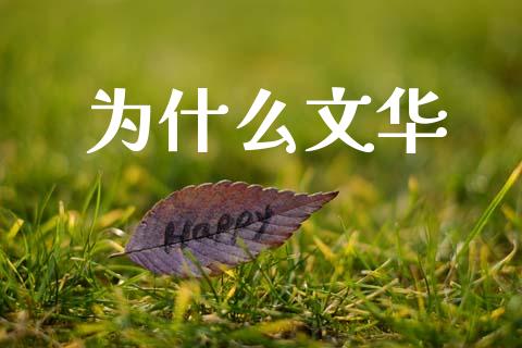 为什么文华_https://wap.qdlswl.com_全球经济_第1张