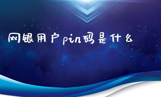 网银用户pin码是什么_https://wap.qdlswl.com_全球经济_第1张