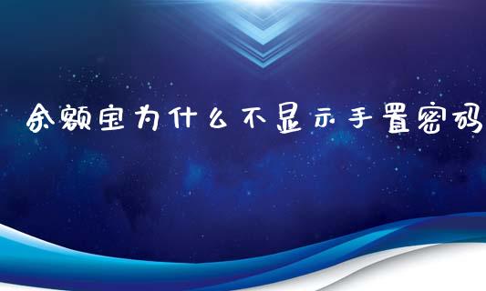 余额宝为什么不显示手置密码_https://wap.qdlswl.com_证券新闻_第1张