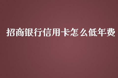 招商银行信用卡怎么低年费_https://wap.qdlswl.com_财经资讯_第1张