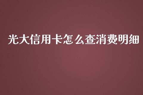 光大信用卡怎么查消费明细_https://wap.qdlswl.com_证券新闻_第1张