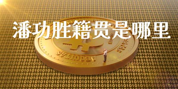 潘功胜籍贯是哪里_https://wap.qdlswl.com_证券新闻_第1张