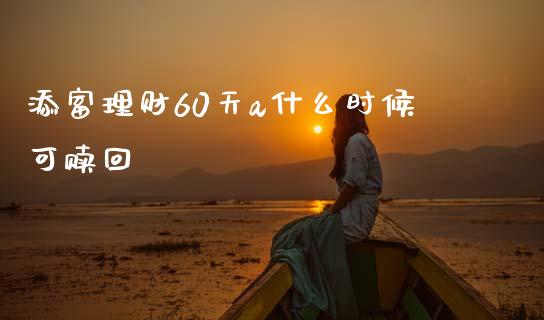 添富理财60天a什么时候可赎回_https://wap.qdlswl.com_理财投资_第1张