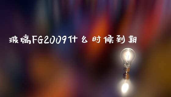 玻璃FG2009什么时候到期_https://wap.qdlswl.com_理财投资_第1张