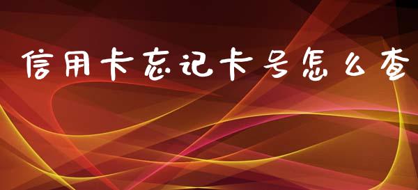 信用卡忘记卡号怎么查_https://wap.qdlswl.com_证券新闻_第1张